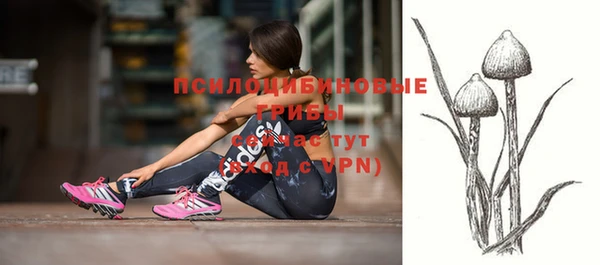 крисы Абаза