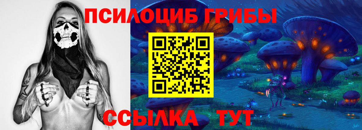 Псилоцибиновые грибы прущие грибы  Галлюциногенные грибы MAGIC MUSHROOMS  Алейск  Вход с VPN 